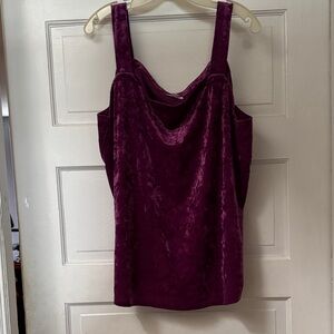 J Jill Plus Size Purple Velvet top